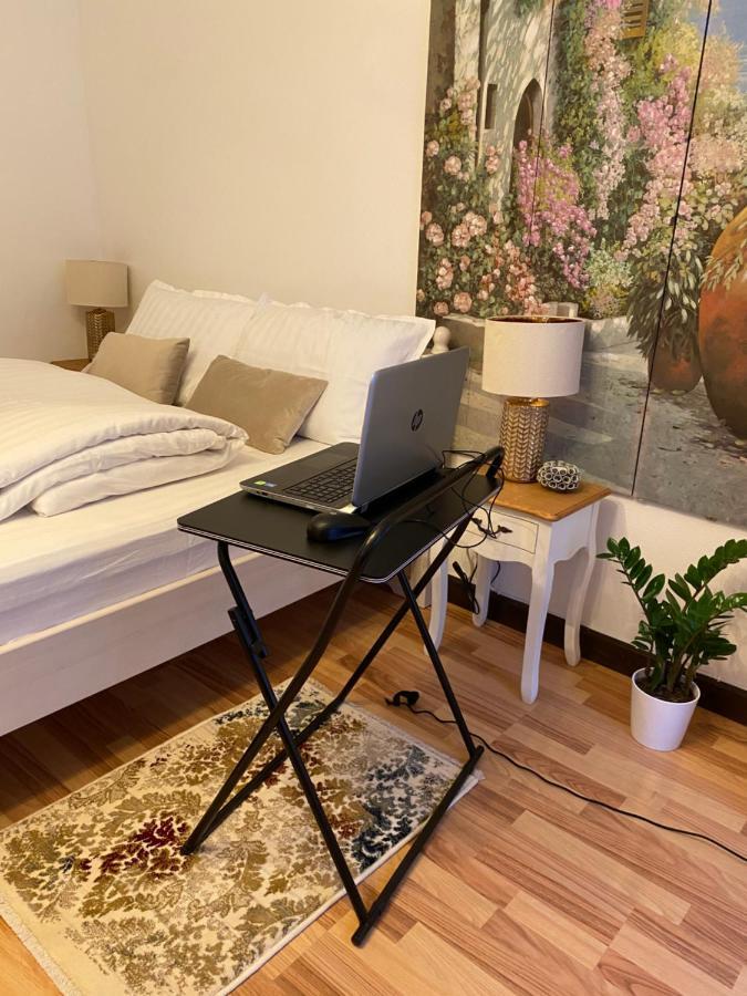 Charming Apartament Сибиу Экстерьер фото