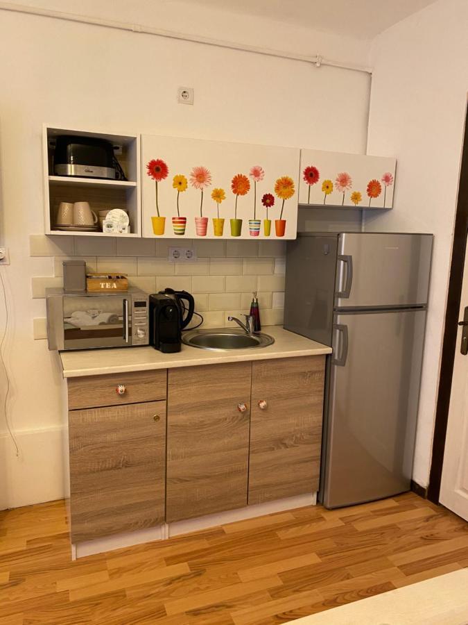 Charming Apartament Сибиу Экстерьер фото